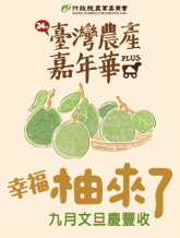 幸福柚來了 九月文旦慶豐收